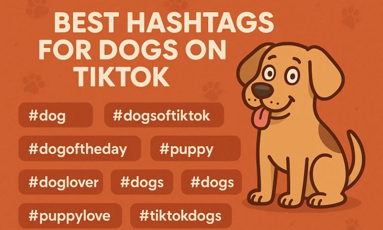 Best Hashtags for Dogs on TikTok